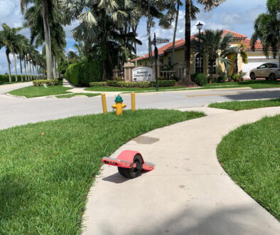 Beautiful Landscapes